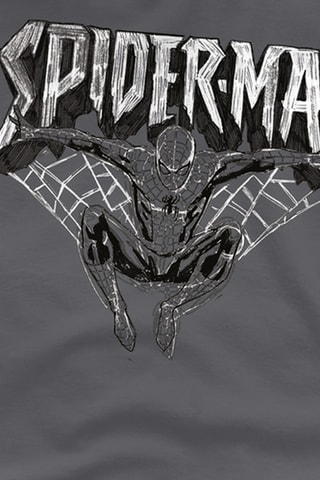 T-shirt Spider-Man Avengers Marvel - Donkergrijs