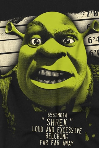 T-shirt Shrek DreamWorks Animation - Zwart