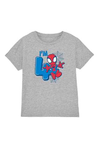 T-shirt Spider-Man Avengers Marvel - Grijs