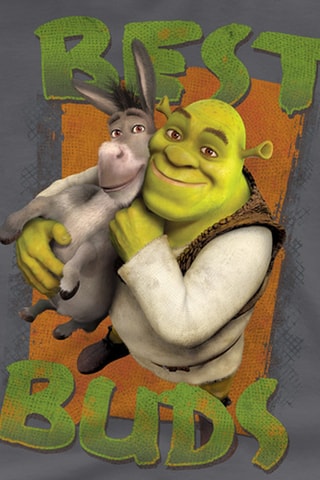 T-shirt Shrek en Donkey DreamWorks Animation - Donkergrijs