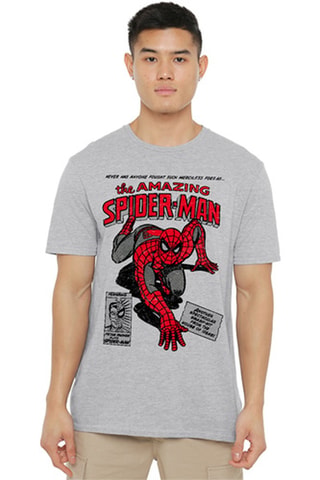 T-shirt Spider-Man Avengers Marvel - Grijs
