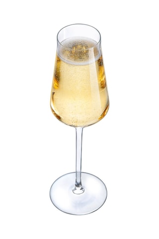 6 flûtes en cristallin Reveal Up - 21 cl