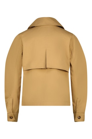 Veste - Camel