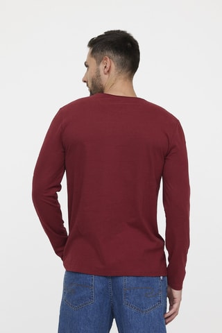 T-shirt en coton biologique Areo - Bordeaux