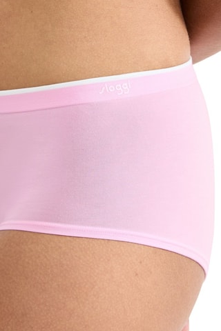 2 shortys Sense - Rose