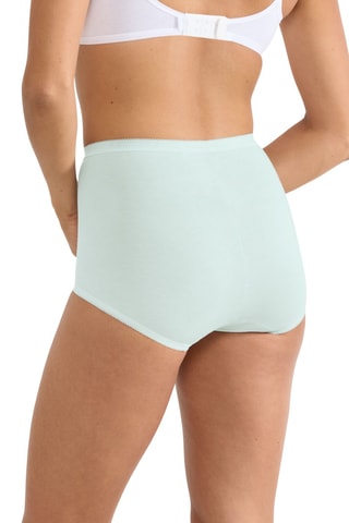 Culotte taille haute Basic H Maxi - Vert clair