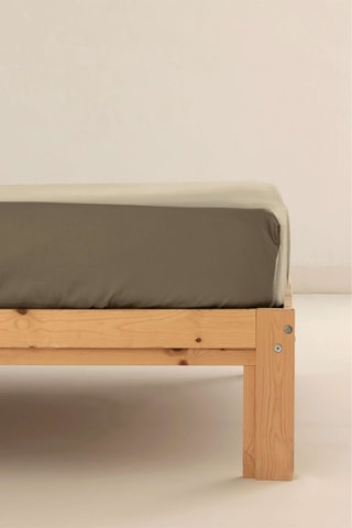 Drap-housse en satin de coton 117 fils/cm² Ferreira - Kaki
