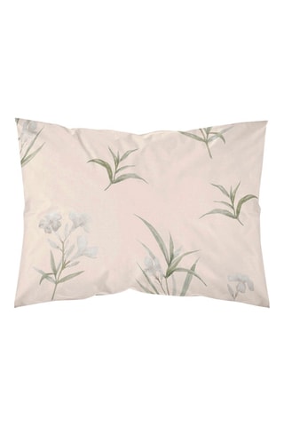 Taie d'oreiller en satin de coton 157 fils/cm² Chelva - Beige et vert