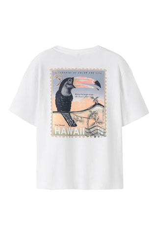 Biologisch Katoenen T-shirt Regular Fit -  Wit