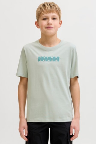 Biologisch Katoenen T-shirt Regular Fit -  Lichtgrijs