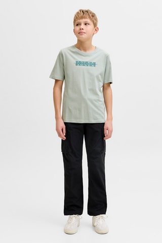 Biologisch Katoenen T-shirt Regular Fit -  Lichtgrijs