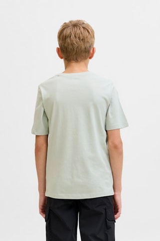Biologisch Katoenen T-shirt Regular Fit -  Lichtgrijs