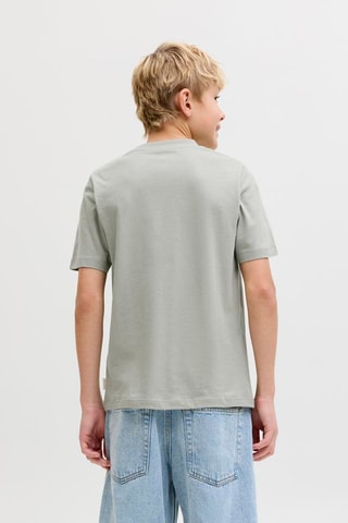 Biologisch Katoenen T-shirt Regular Fit -  Lichtgrijs