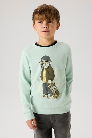 Biologisch Katoenen Sweater - Groen - Name It