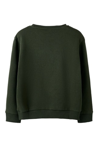Biologisch Katoenen Sweater - Donkergroen Name It