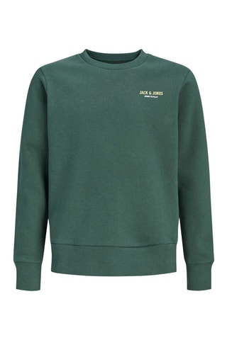 Sweater -  Donkergroen