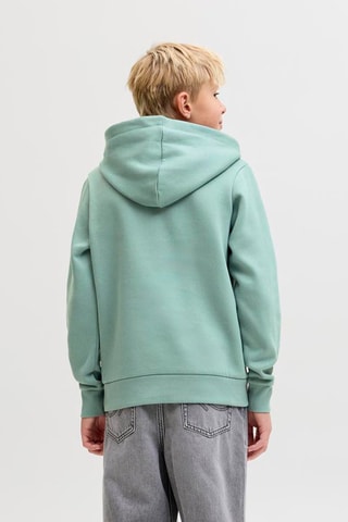 Biologisch Katoenen Sweater met Capuchon -  Zeegroen