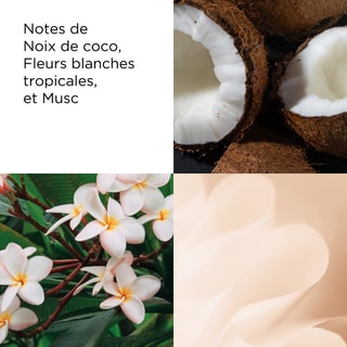 Crème hydratante - Miel & noix de coco - Corps - 500 ml