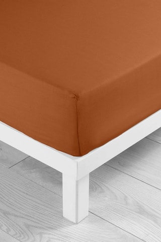 Drap-housse en coton 57 fils/cm² Lina - Caramel