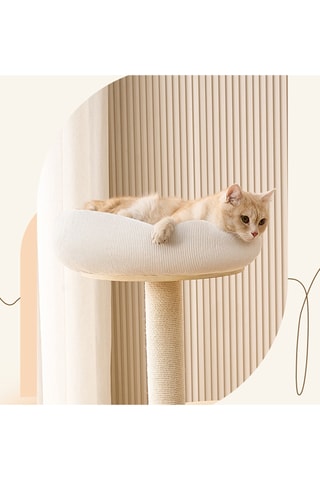 Rascador de madera de caucho NaturaCat - 60 x 96 x 40 cm