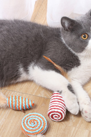 Estuche de juguetes interactivos de lino para gato - 9 piezas