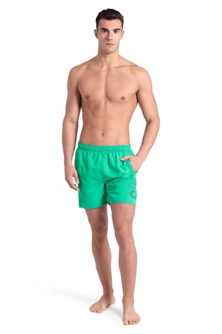 Short de bain Fundamentals - Vert et violet