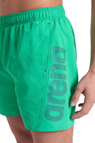 Short de bain Fundamentals - Vert et violet