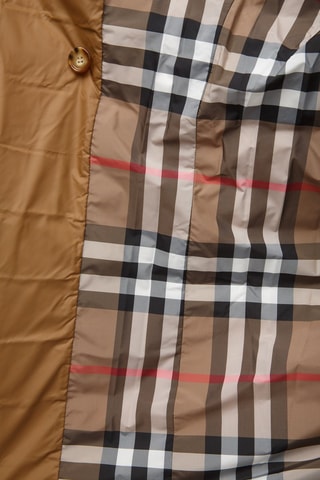 Manteau à capuche Witley - Marron