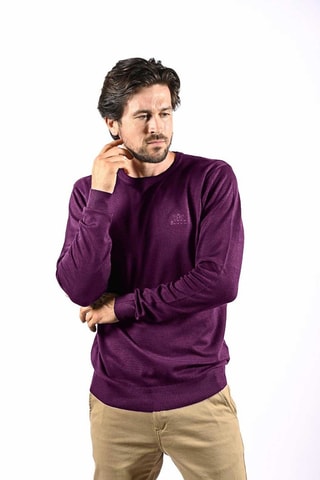 Pull Laspo - Violet