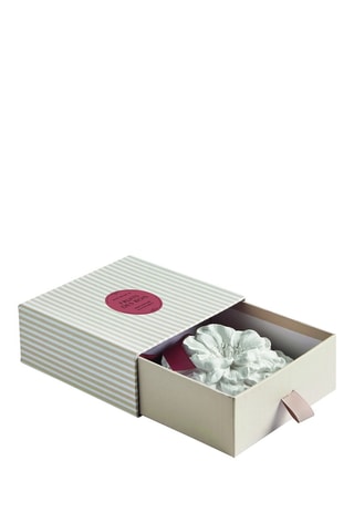 Flor grande perfumada Frutas del Bosque