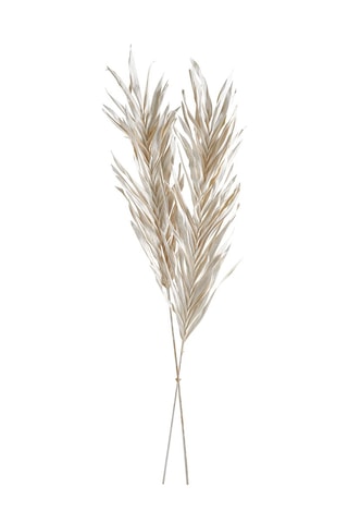 2 x Adorno vegetal seco - Blanco