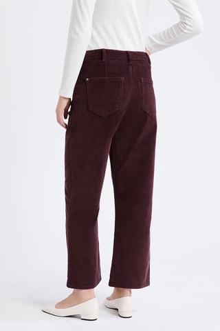 Pantaloni in velluto Velvet - Marrone