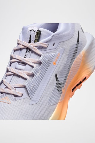 Nike Pegasus Trail 5 GORE-TEX - Gris clair