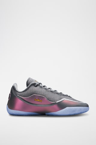 James LeBron XXIII Shut Up And Dribble - Gris