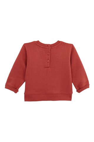 Sweat - Corail