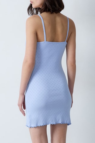Babydoll Pollin - Viola