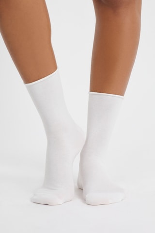 Calze Coton Midi New - Ecrù