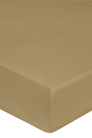 Sábana bajera de satén de algodón 80 hilos/cm² - Topo