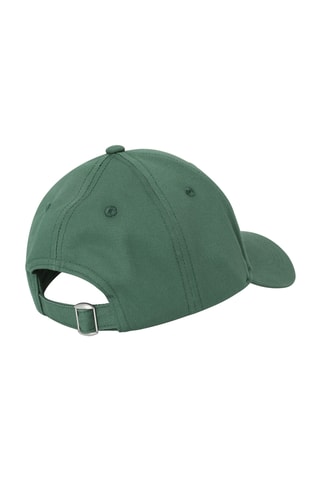 Pet Berroni - Groen