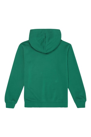 Sweater met Capuchon Campasso - Groen
