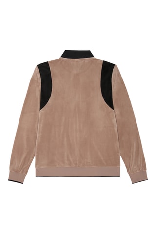 Velours Trainingsjasje Adriano - Taupe