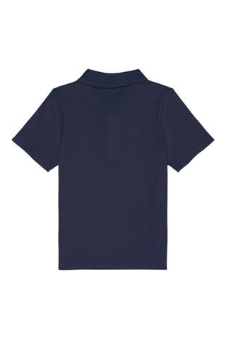 Polo Pomaia - Donkerblauw
