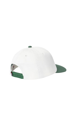 Pet Firenze - Beige en groen