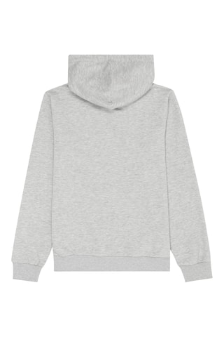 Sweater met Capuchon Rifredi - Lichtgrijs