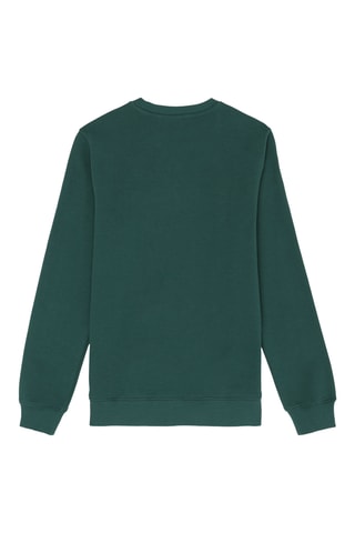 Sweater Sagano - Groen