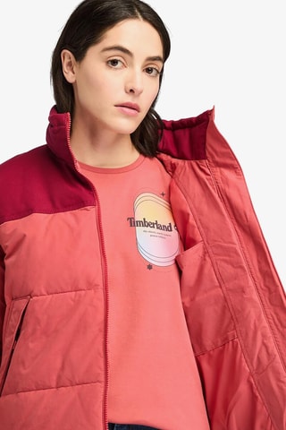 Chaqueta - Verde y marrón
