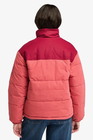Chaqueta - Verde y marrón