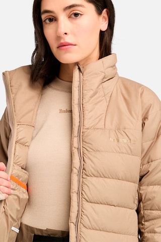 Anorak - Topo