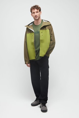 Chaqueta con capucha - Verde y marrón