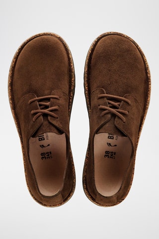 Nubuck Derby’s Uppsale Low - Smal - Bruin